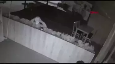 ARNAVUTKÖY'DE RESTORANA GİREN HIRSIZTAN ŞOK EDEN GÖRÜNTÜ