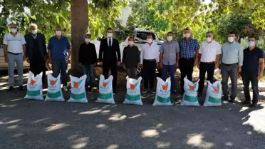 Sumbas'ta çiftçilere 3 ton fiğ tohumu dağıtıldı