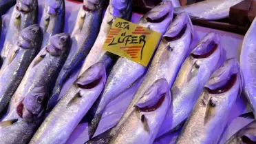 Bollaşan lüferin fiyatı 35 TL'ye düştü