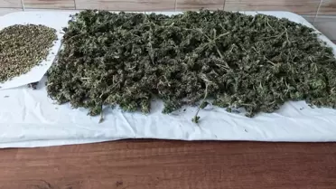 Sakarya'da uyuşturucu operasyonunda 1,5 kilogram kubar esrar ele geçirildi