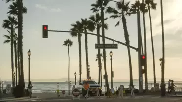California'da petrol sızıntısı deniz yaşamını tehdit ediyor