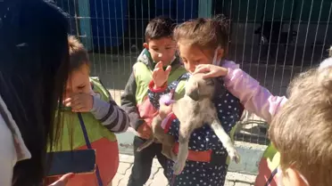 Hayvan Bakımevi genç ve minik hayvanseverleri ağırladı