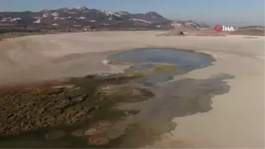 Su seviyesi artan Yarışlı Göl'e kuş akını