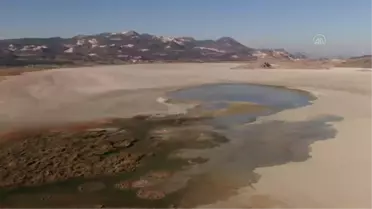 Su seviyesi yükselen Yarışlı Gölü'nde kuş popülasyonu da arttı