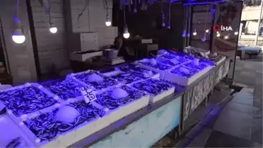 Karadeniz'de hamsi fiyatları 10 TL'ye geriledi