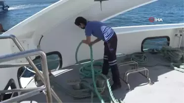 Güverteye kadın eli değdi...Halat bağlıyor, dümen tutuyor