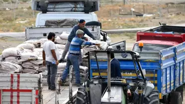 Türkiye'deki buğday ve arpa açığını bu yıl Başkentli çiftçi kapatacak