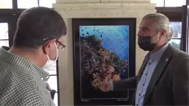 Midyat'ta fotoğraf sergisi açıldı