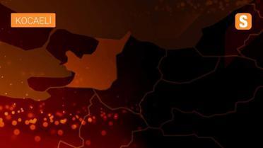 Sakarya'da 'Palu ailesi'nin yargılanmasına devam edildi