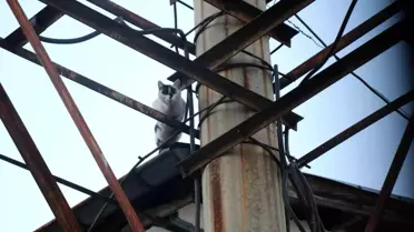 5 gün çatıda yardım bekledi, İtfaiyeyi görünce ortadan kayboldu