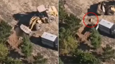 'Köpeklerin diri diri gömüldüğü' iddialarına belediyeden yalanlama geldi: Sadece ölü bulunan hayvanları gömdük