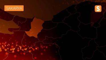 Uzmanlar inmenin tanı ve tedavisindeki güncel gelişmeleri ele aldı