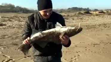 Amatör balıkçı oltasına gelen balıkla mutluktan havalara uçtu