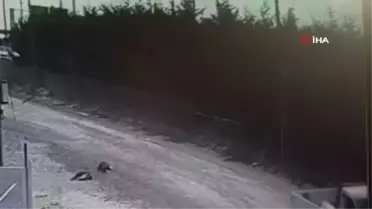 Büyükçekmece'de hurda hırsızları yakalandı