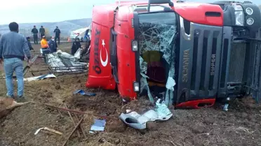 Tır şarampole devrildi, 7 hayvan telef oldu
