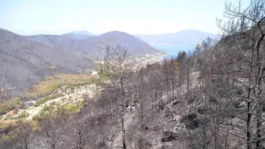 Son dakika yerel: Marmaris'te yangın çalıştayı yapılacak