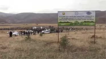 Binlerce fidan toprakla buluştu
