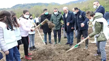 Fatsa'da dikilen fidan sayısı 5 bin 500'e ulaştı