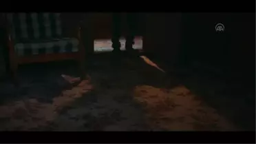 Sinema - Af???????