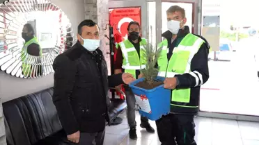 Talas Belediyesi'nden 2 bin 23 mavi ladin