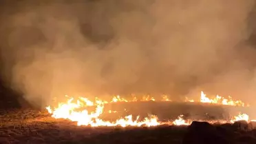 Bodrum'da aynı bölgede yine yangın çıktı