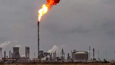 COP26 - BM Genel Sekreteri: Sicaklık artışını 1,5 C'nin altında tutma hedefi bitkisel hayatta