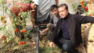 HIRSIZLAR SULAMA VANALARINI ÇALDI, 300 DÖNÜM SERA VE BAHÇE SUSUZ KALDI