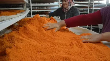 'Tarhana ile Gediz'de Dar Hane Kalmayacak' projesiyle kadınlar istihdam edilecek