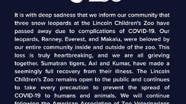 Son dakika haberi: ABD'de 3 kar leoparı Kovid-19'dan öldü