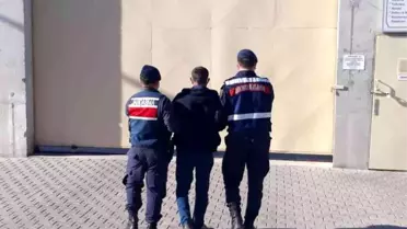 Son dakika haber! Burhaniye'de kanun kaçağını jandarma yakaladı