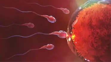 Uzmanlardan erkeklere uyarı: Kafein, sperm hücrelerinin hareketlerini bozuyor