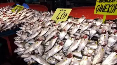 Balık tezgahlarında çupra ve çinekop bolluğu