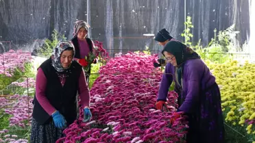 58 yaşındaki kadın çiçek serası hayaline devletten aldığı 720 bin liralık hibeyle kavuştu