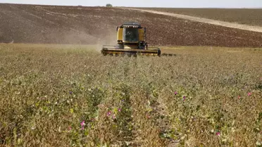Diyarbakır'da soya üretimi artacak