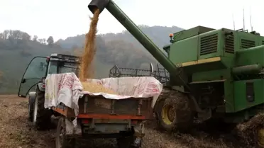 Ordu'da atıl araziler tarıma açılıyor