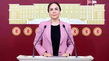 AK Parti'li Yılmaz: 'Biz de mitinglerimizi eski Tevfik Sırrı Gür Stadyumu yanında yapıyoruz'