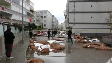 Fırtınanın vurduğu Gemlik'te temizlik çalışması