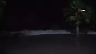 Teknelerini kurtarmaya geldiler, mahsur kalan kediyi kurtardılar