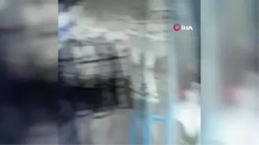 Çöpten taze meyve sebze çıktı
