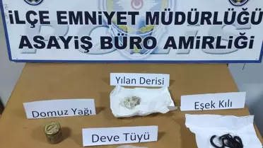 Son dakika haberleri: Kedi vahşetinde 1 gözaltı: Evinde büyü malzemeleri çıktı