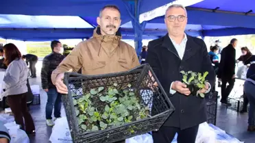 Aydın Büyükşehir Belediyesi 100 bin adet kışlık yerel fideyi vatandaşlara dağıttı