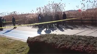 Son dakika! Ankara Mogan Gölü'nde erkek cesedi bulundu