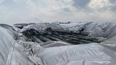 2 gün sonra hasat yapılacak seralar, fırtınada yerle bir oldu