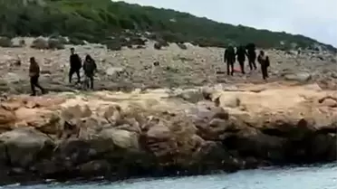 Yunanistan unsurlarınca denize atılan 8 düzensiz göçmen kurtarıldı