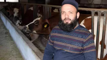 Genç çiftçi projesiyle hayvancılığa başladı, şimdi taleplere yetişemiyor5 yıl önce 5 inekle hayvancılığa başlayan Mustafa Akyüz, şuan 29 ineği ile...