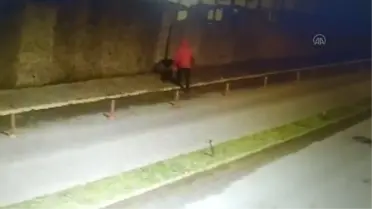 Zonguldak'ta çalınan köpeklerini bulan çift, büyük sevinç yaşadı