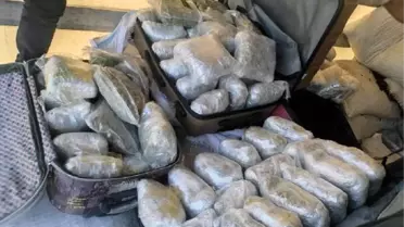 Adana'da 65 kilogram esrar ele geçirilen tırdaki 2 zanlı serbest bırakıldı