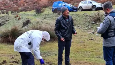 Hayvan zehirlenmelerine ilişkin inceleme başlatıldı