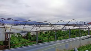 Muğla'da hortum seralarda hasara neden oldu