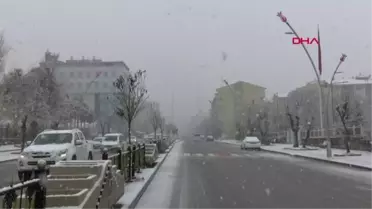 MUŞ'TA KAR ETKİLİ OLDU, 124 KÖY YOLU ULAŞIMA KAPANDI